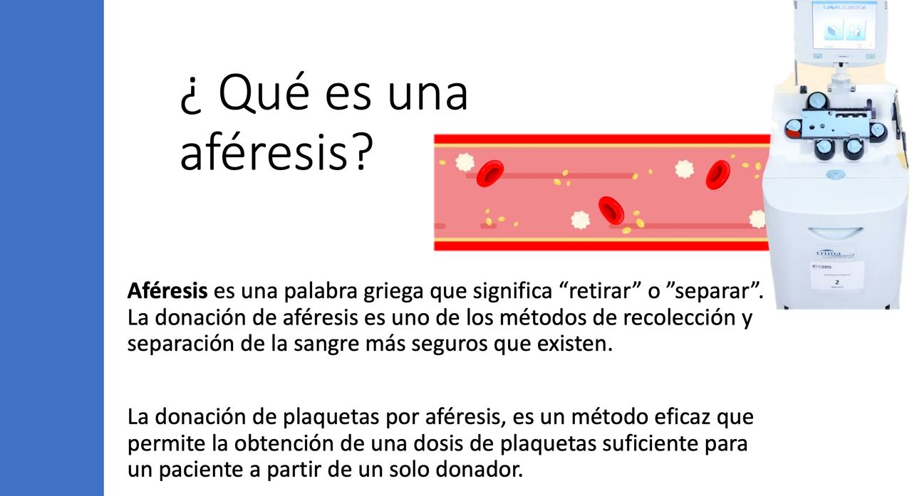 Araceli Leal Alanís-16