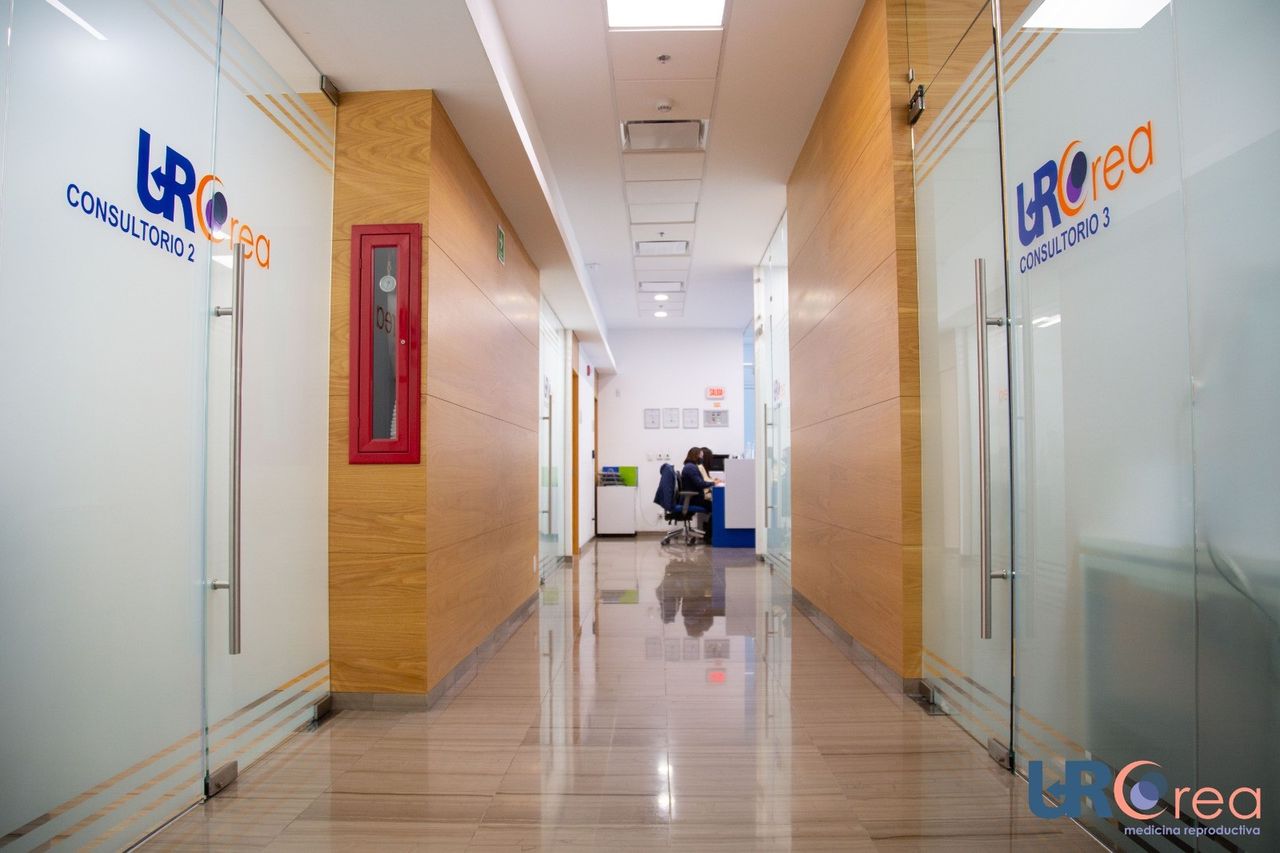 María De Lourdes Flores Islas-5