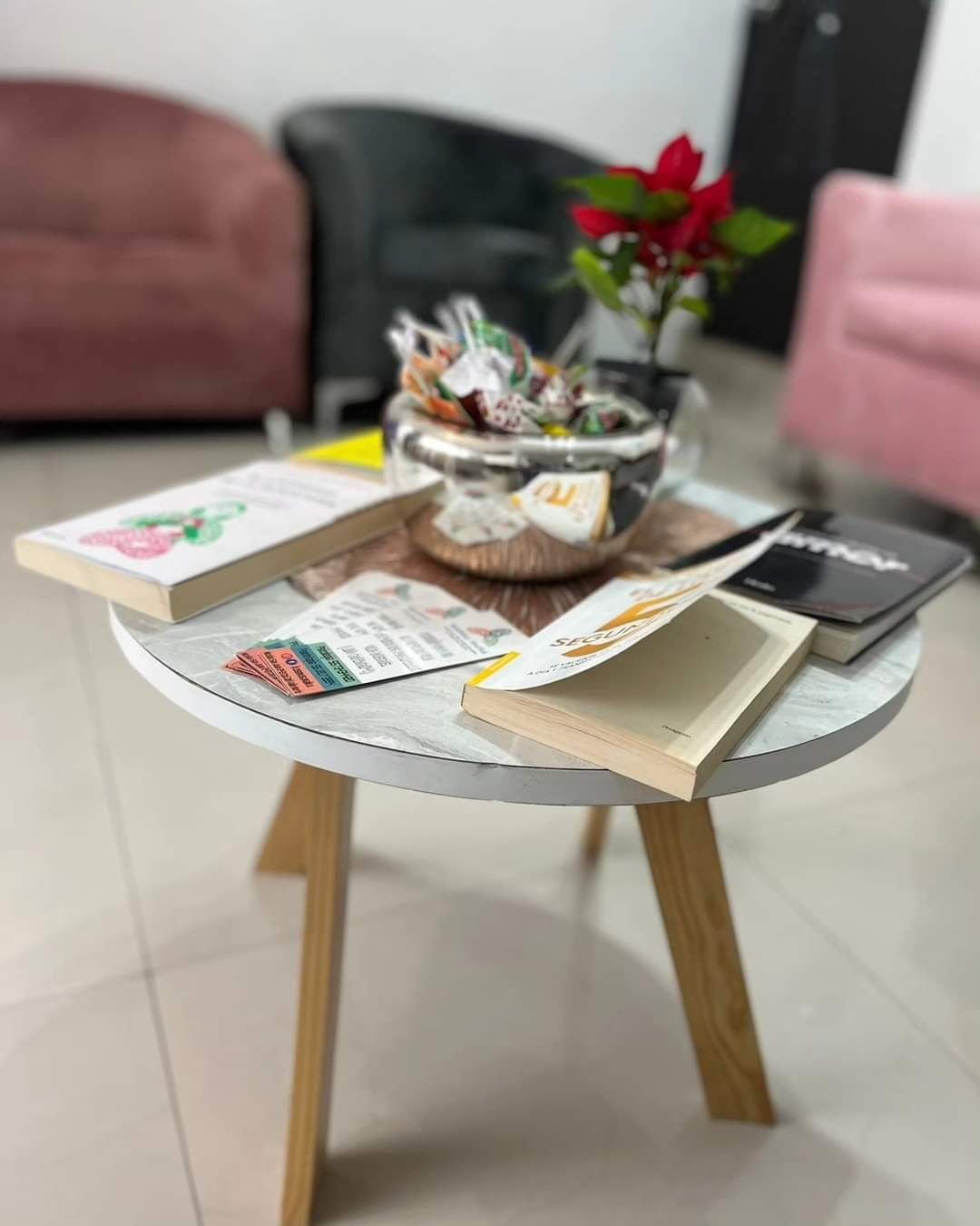 Sonia Carolina Hernández Romero-4