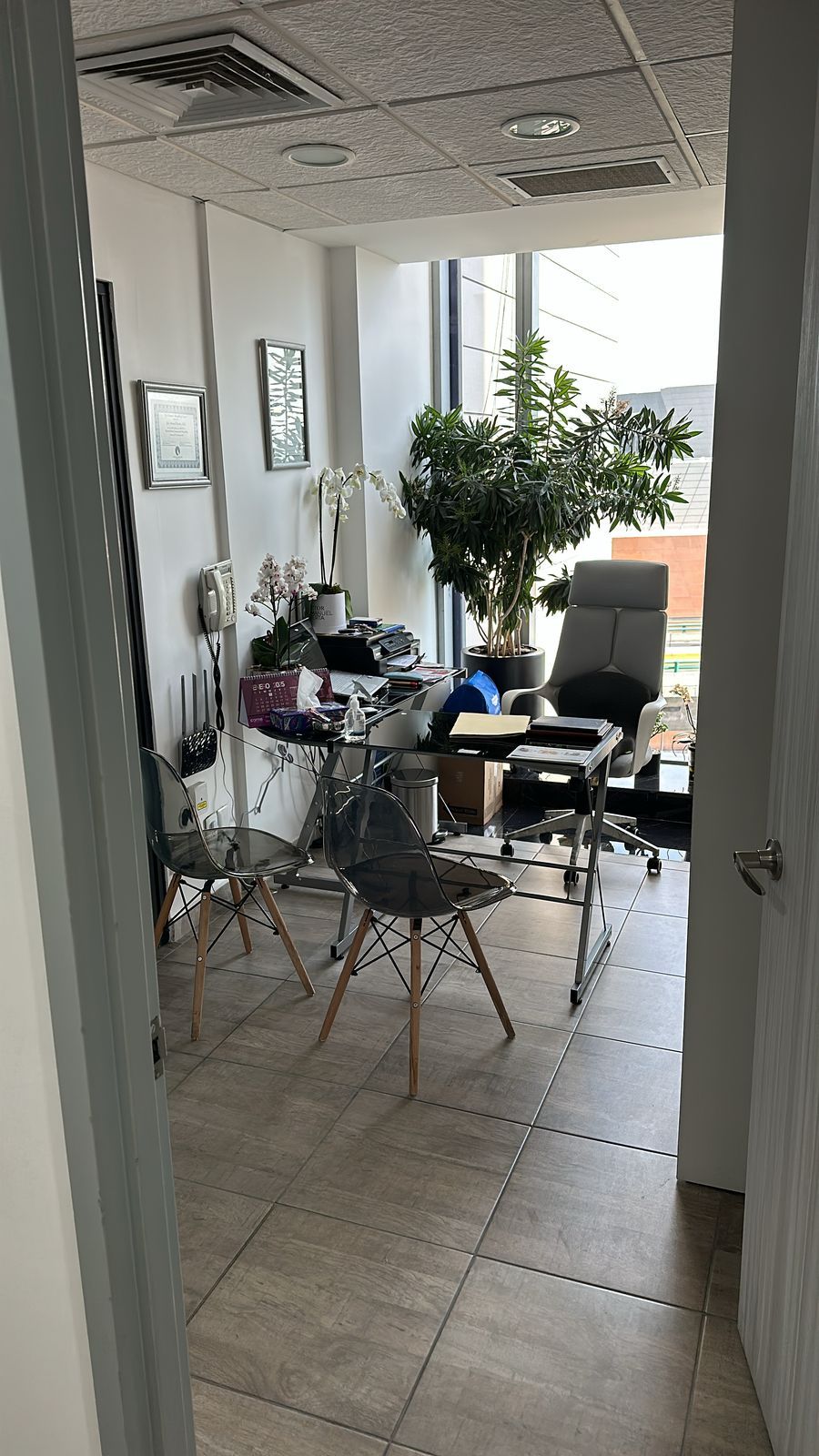 José Manuel Huerta Hentschel-2