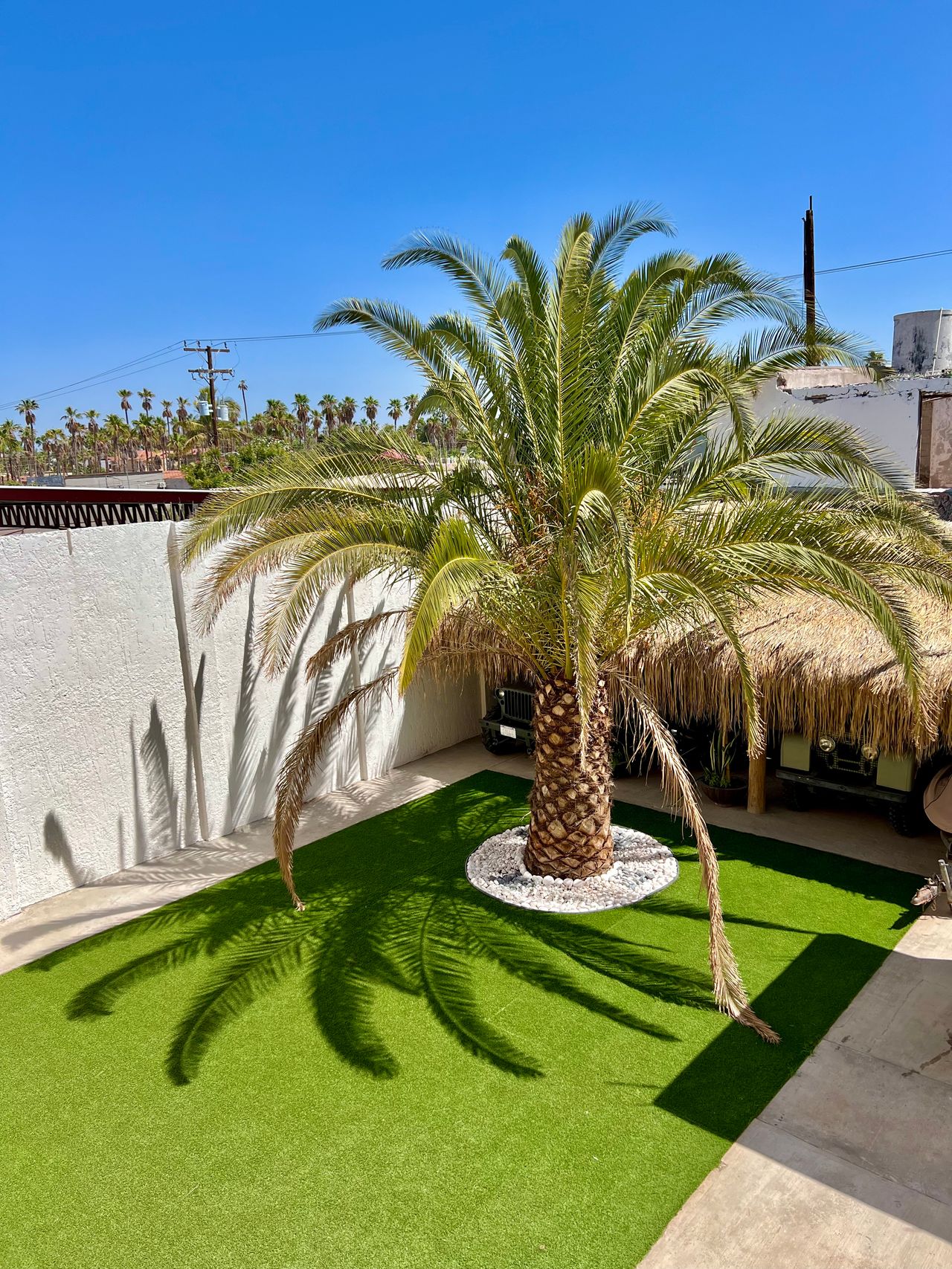 Karen Lizeth Pérez Murillo-10