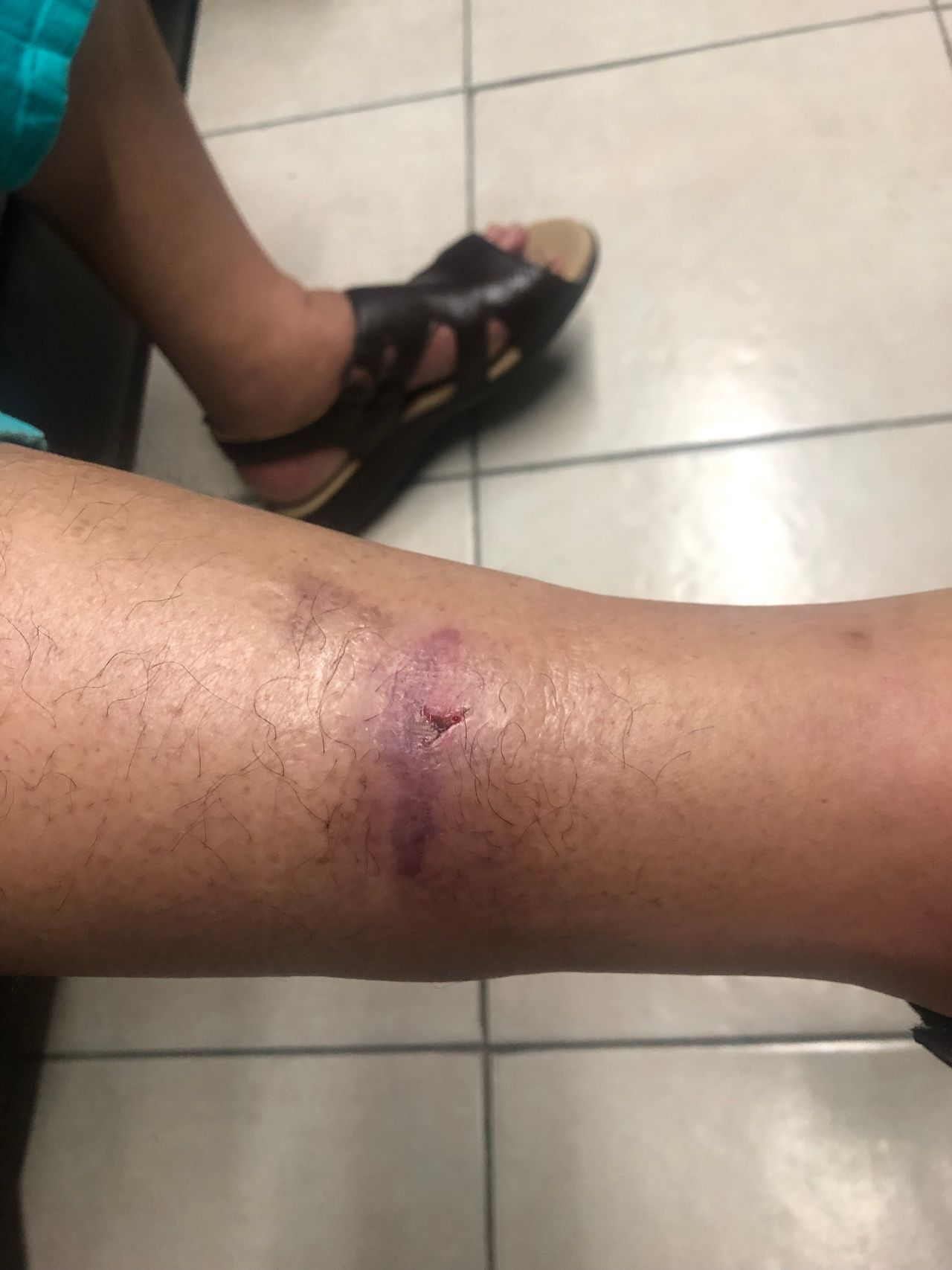 Adriana Avila Torres-3