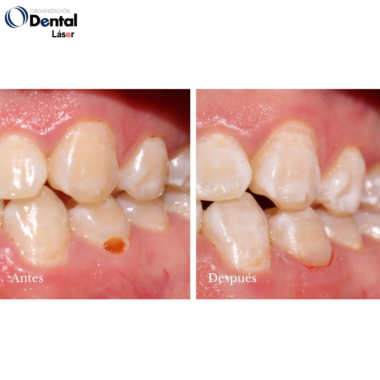 Ricardo Calderón-13