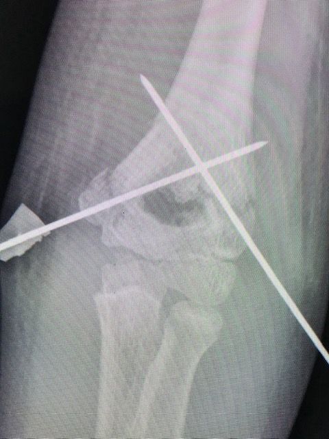 Julián Hernández Anaya-9