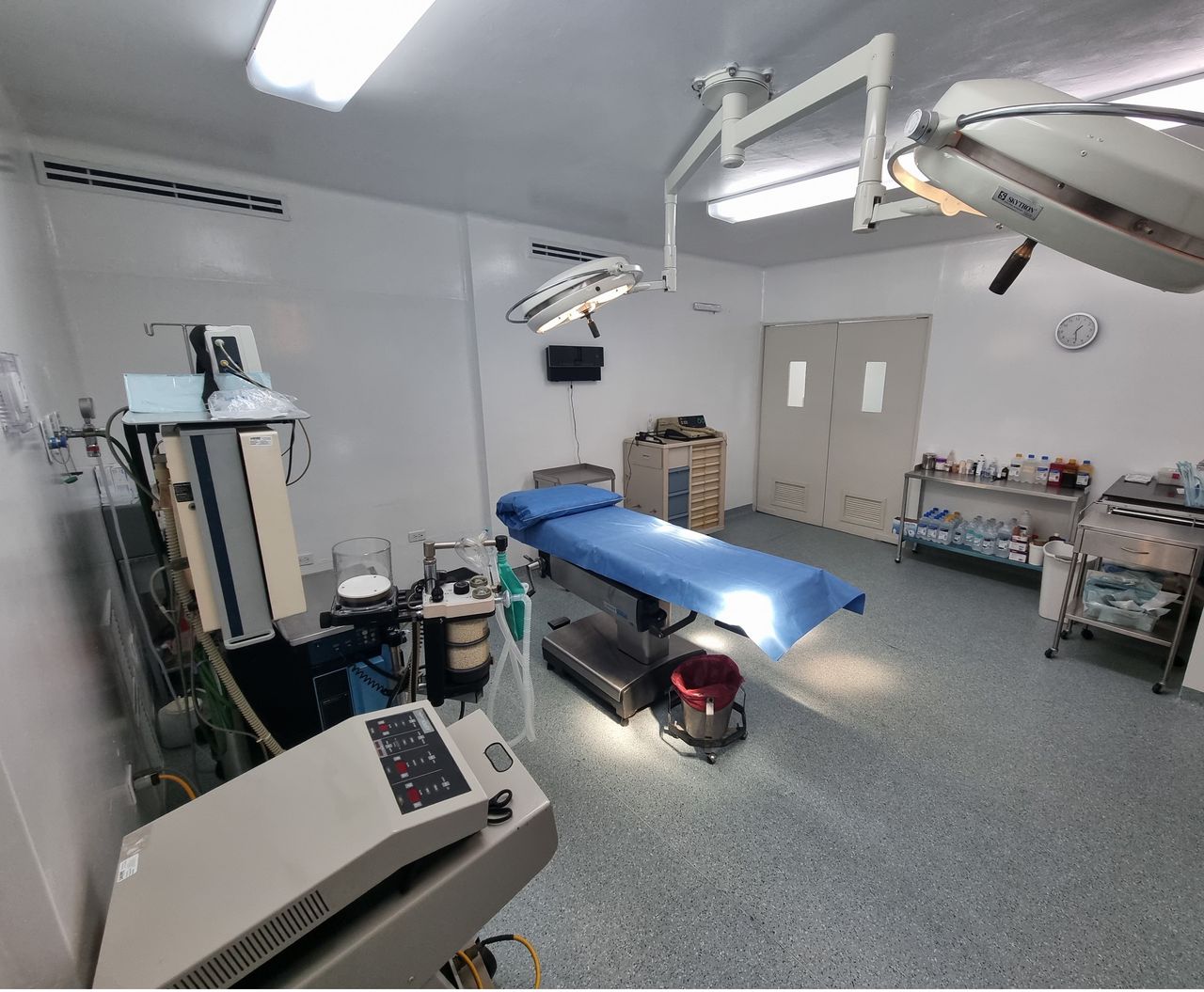 Cristina Cortés Peralta-16