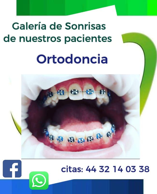 Anja Arroyo Campos-38