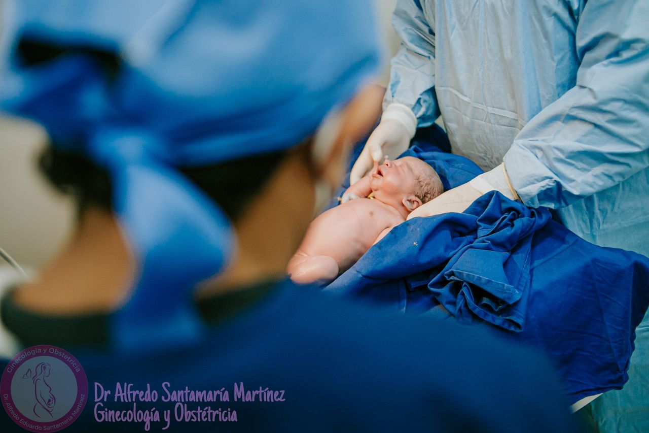 Alfredo Eduardo Santamaria Martinez-17