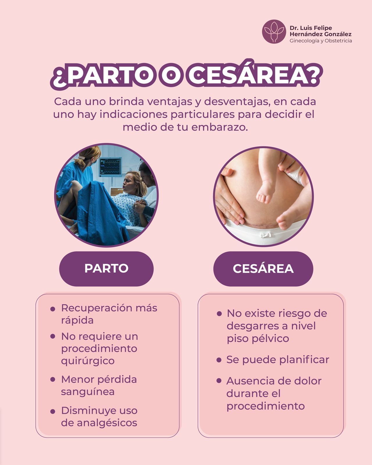 Luis Felipe Hernández González-4