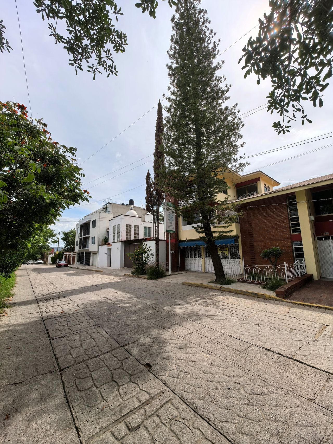 Andrés Santiago Martínez Álvarez-3