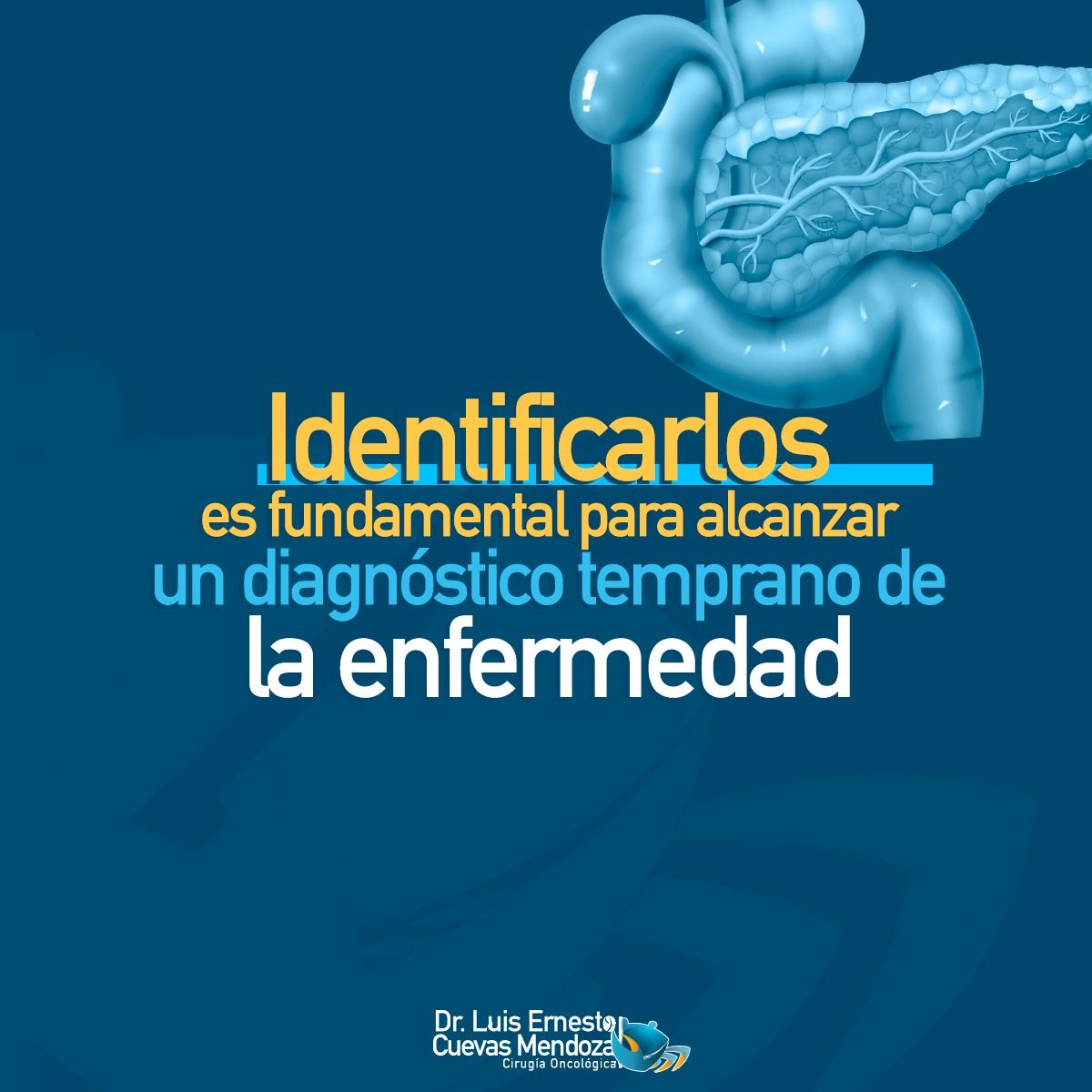 Luis Ernesto Cuevas Mendoza-60