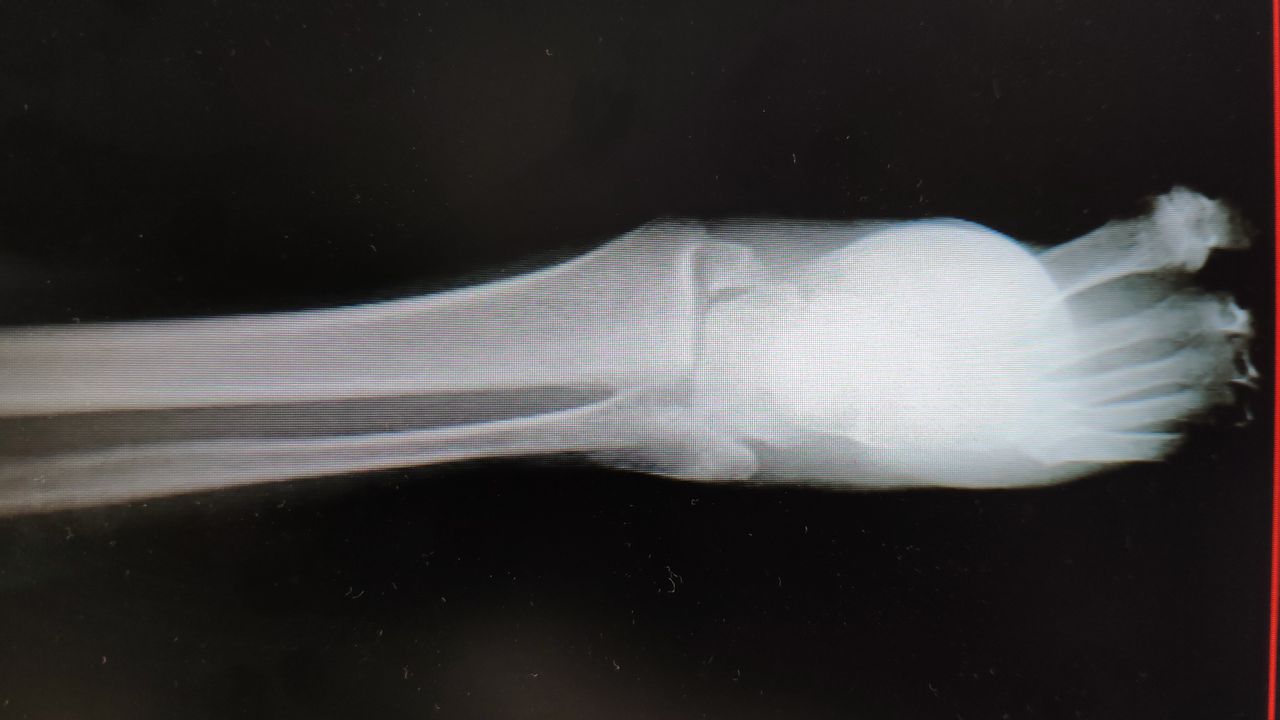 José Antonio Guerrero Jimenez-6