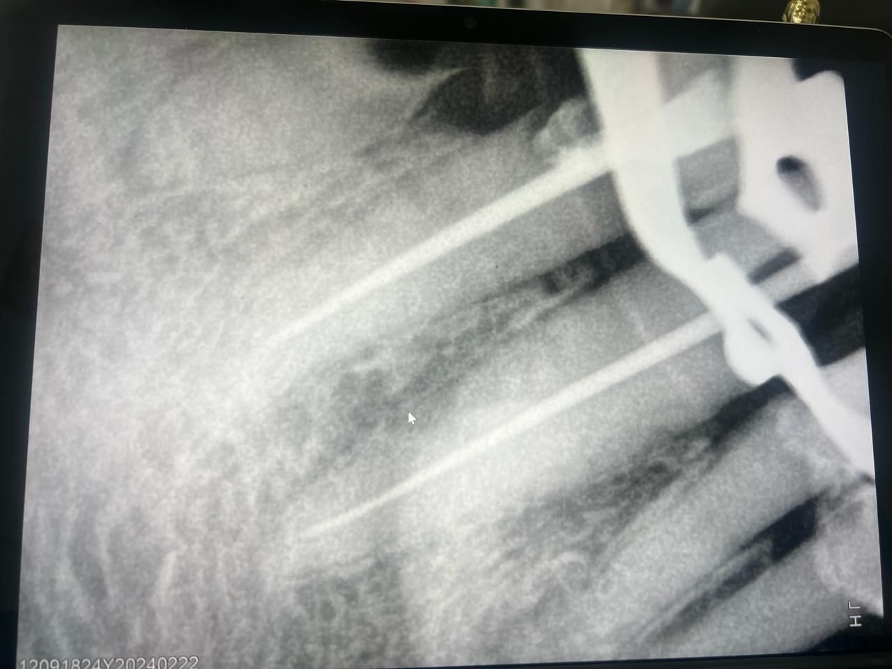 Gabriela Vargas Lara-13