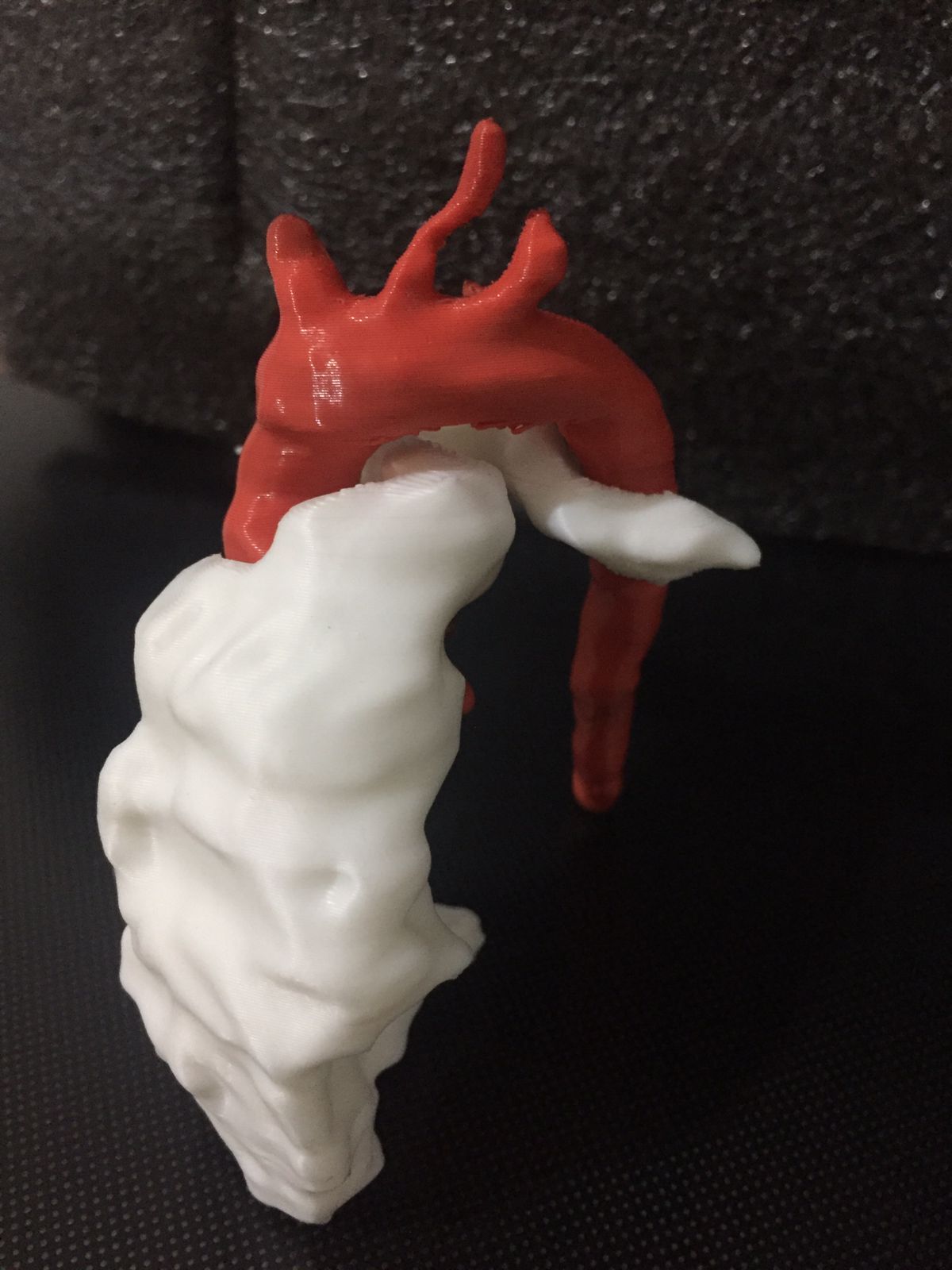 Guillermo Godoy Rábago-17