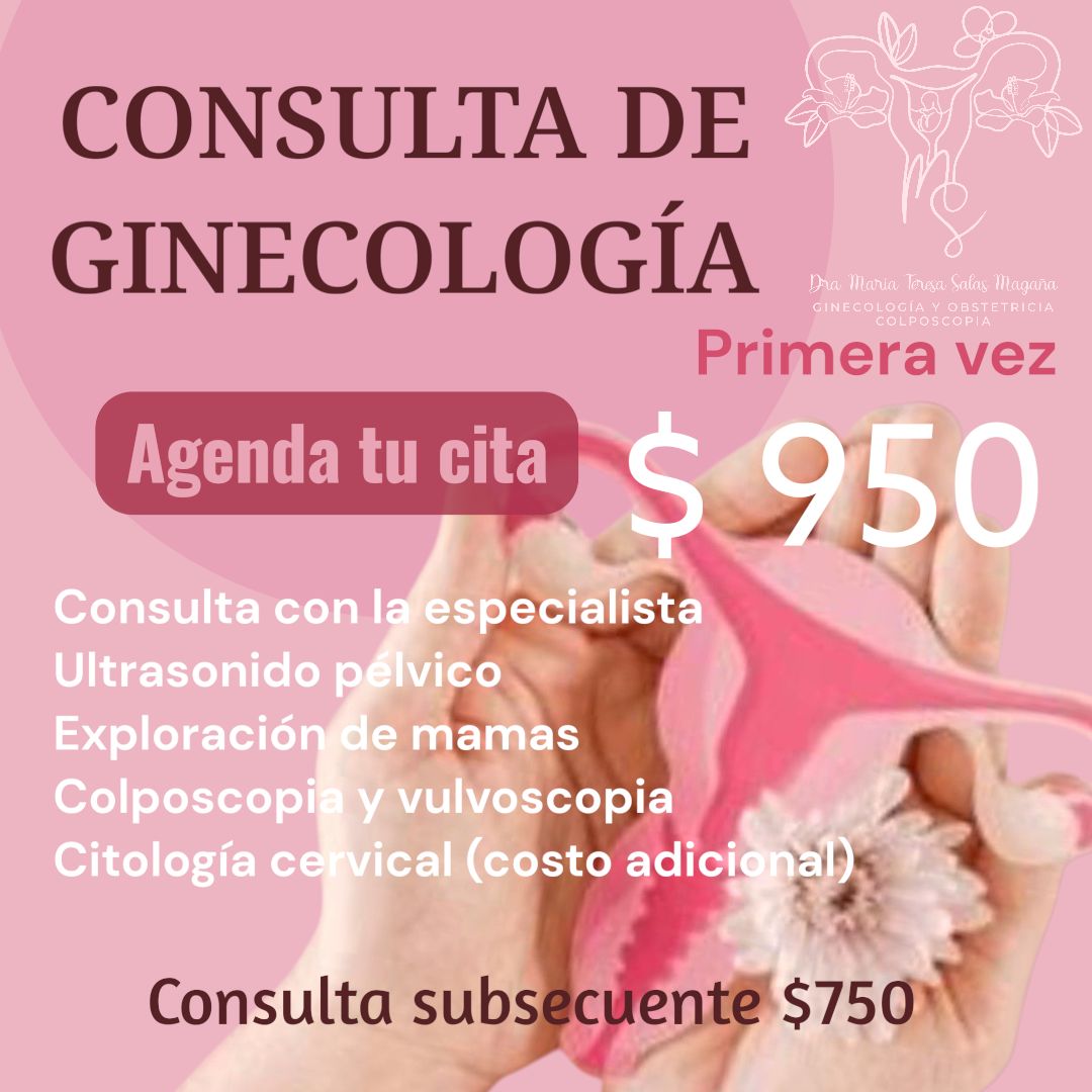 María Teresa Salas Magaña-1