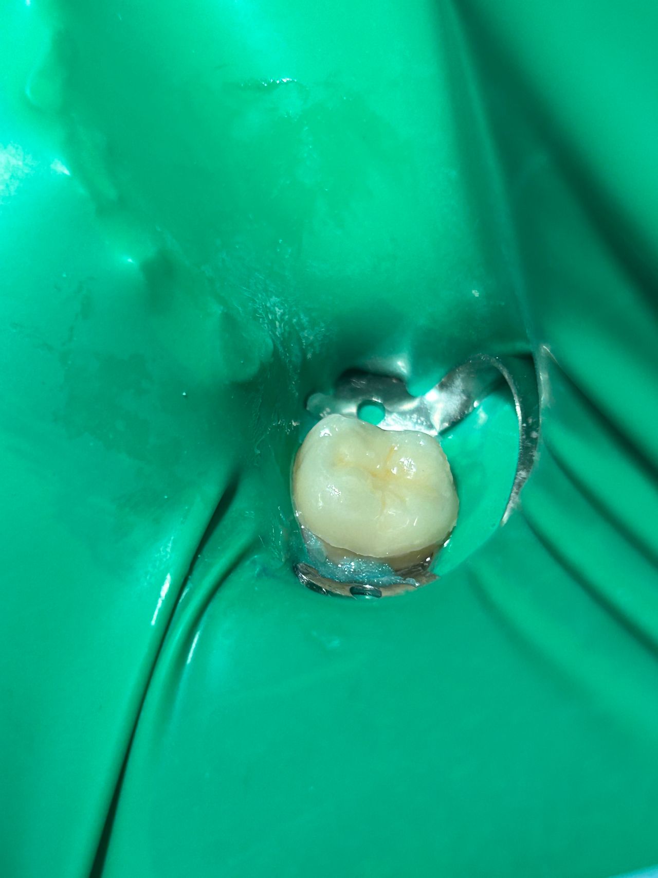 Sandra Carolina Cigala Martínez-2