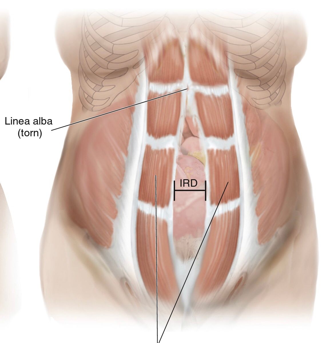 Mateo Ponciano Guerrero-15