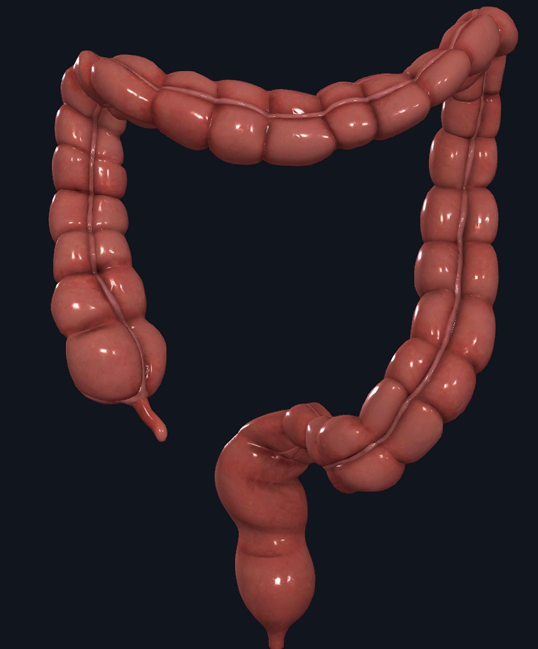 Mateo Ponciano Guerrero-33