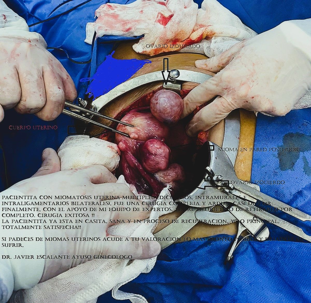 Javier Escalante Ayuso-3