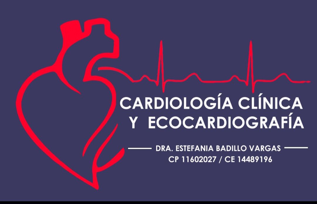 Estefania Badillo Vargas-0