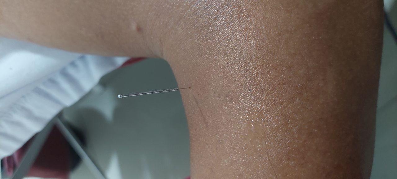 Brenda Daniela Bolan Meza-2