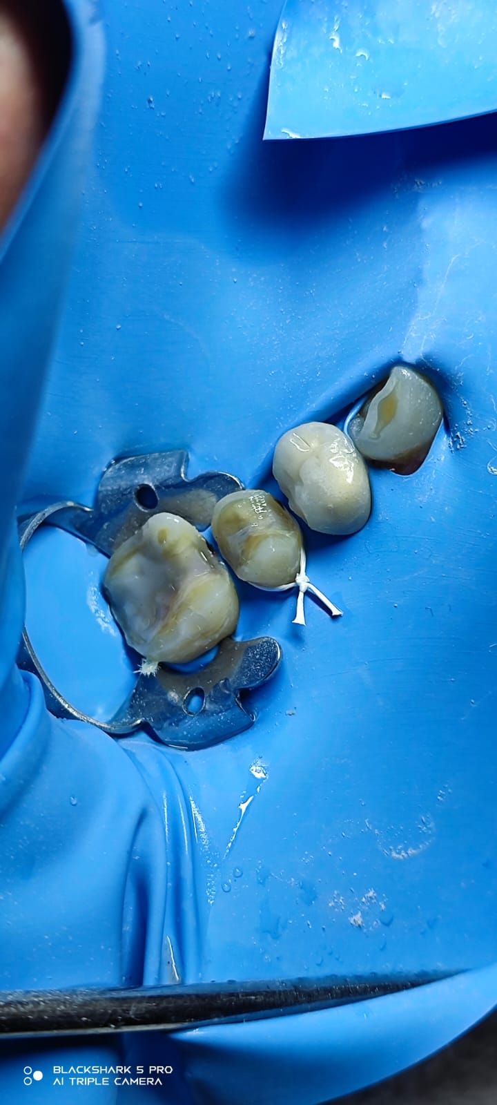 Jonathan Manuel Morán Castell-19