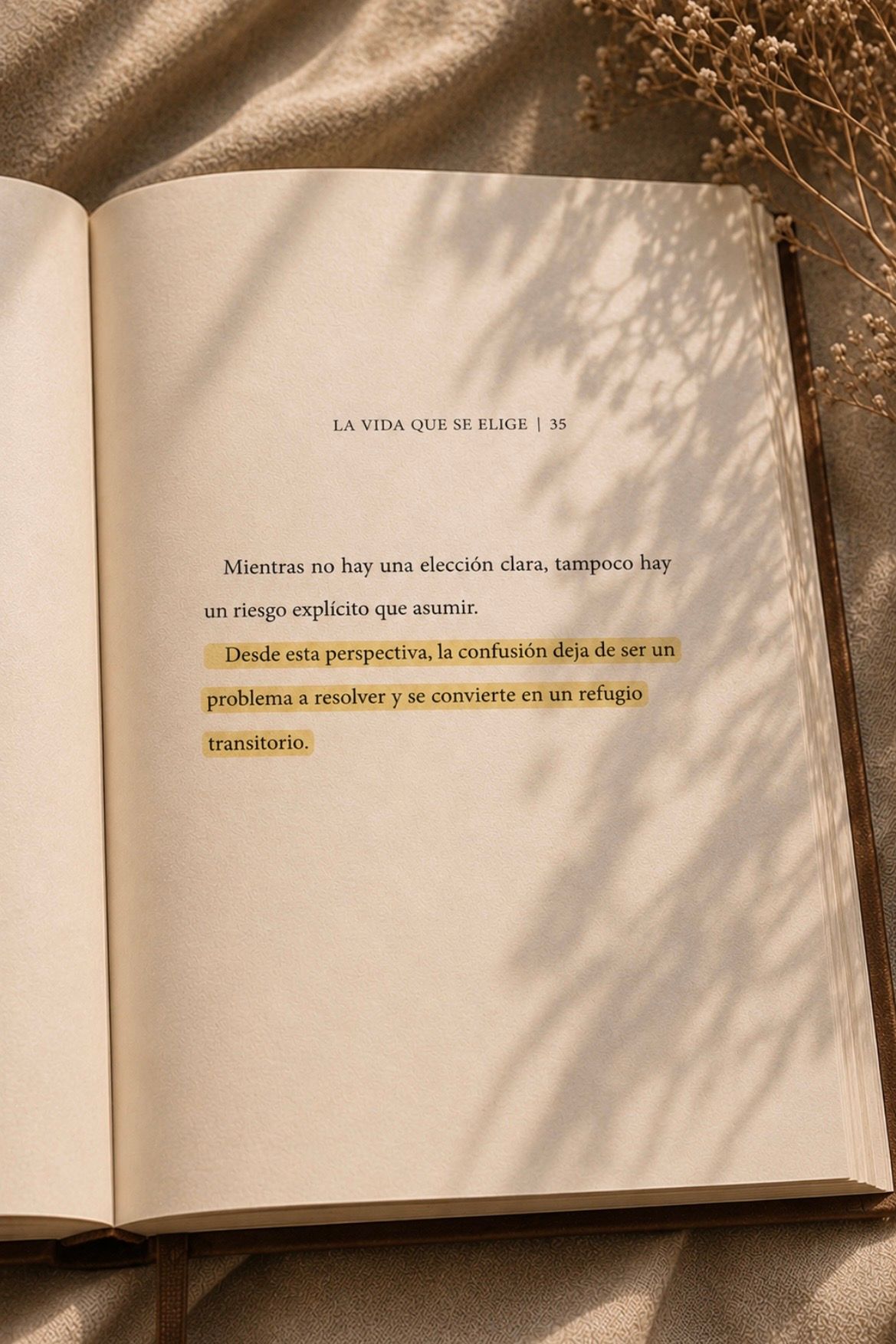 Cecilia Madrazo Riba-3