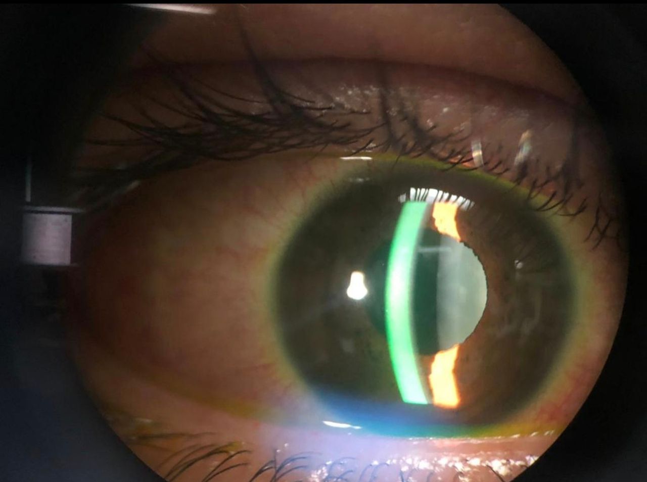 Brenda Sánchez Laguna-10