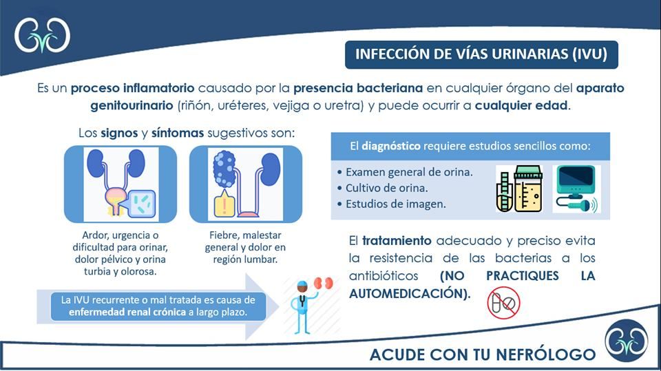 Fernando Ivan Lezama Silva-5