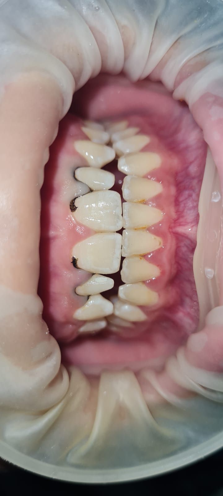 Andrea Cervantes Urenda-17