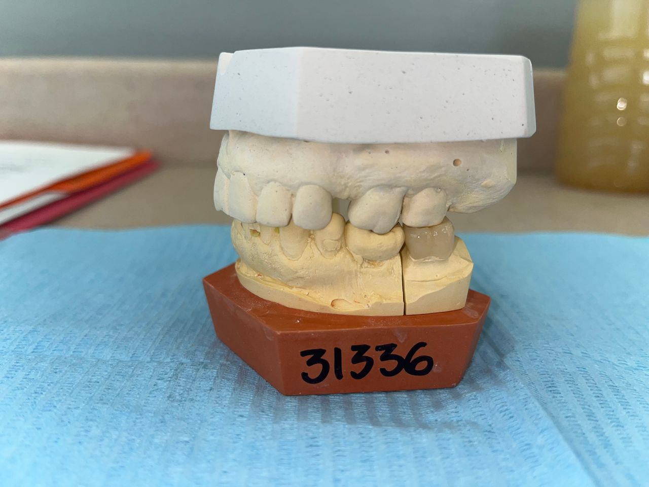 María Elena Merino Calderón-6