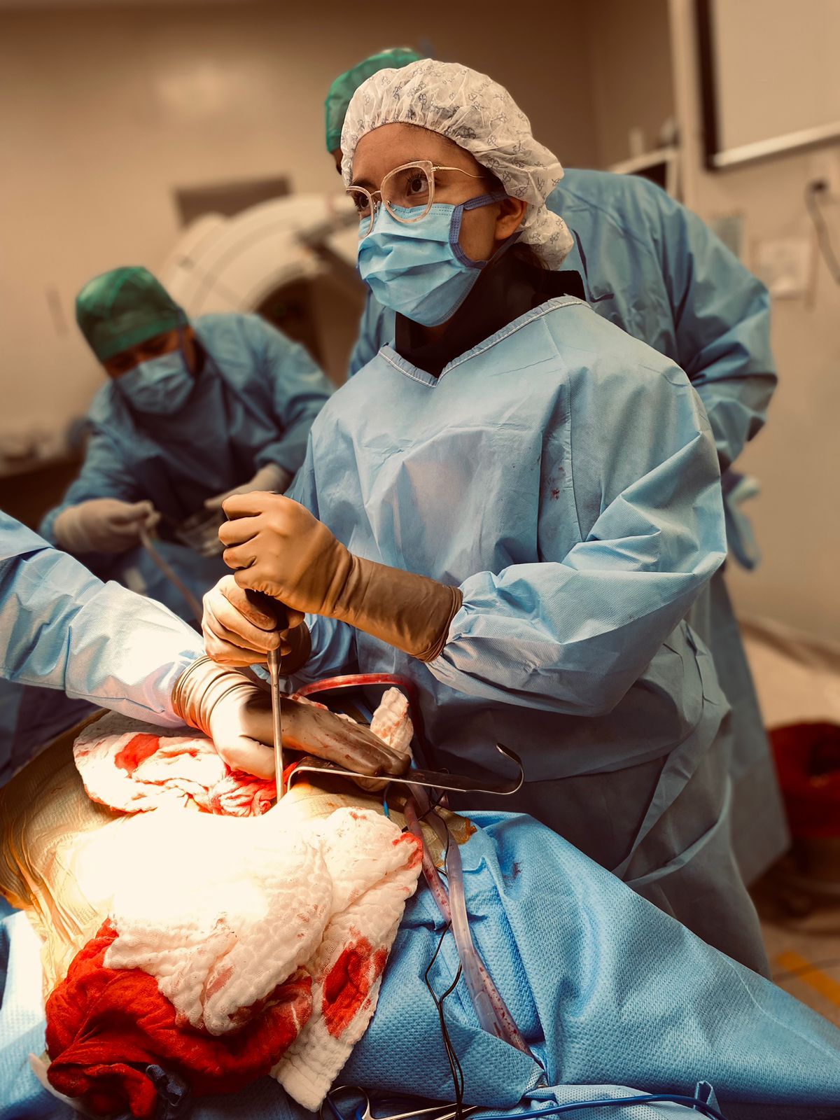 Cynthia Elena  Gallardo Gutierrez-1