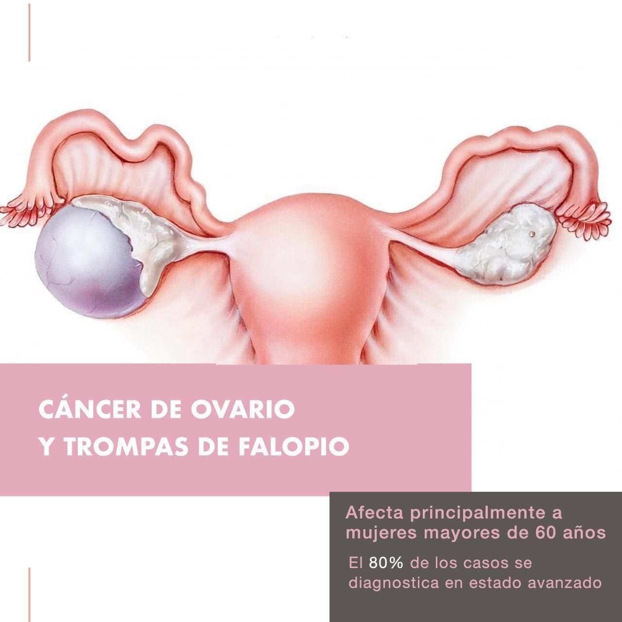 Rodolfo Saúl Torres Mendoza-8