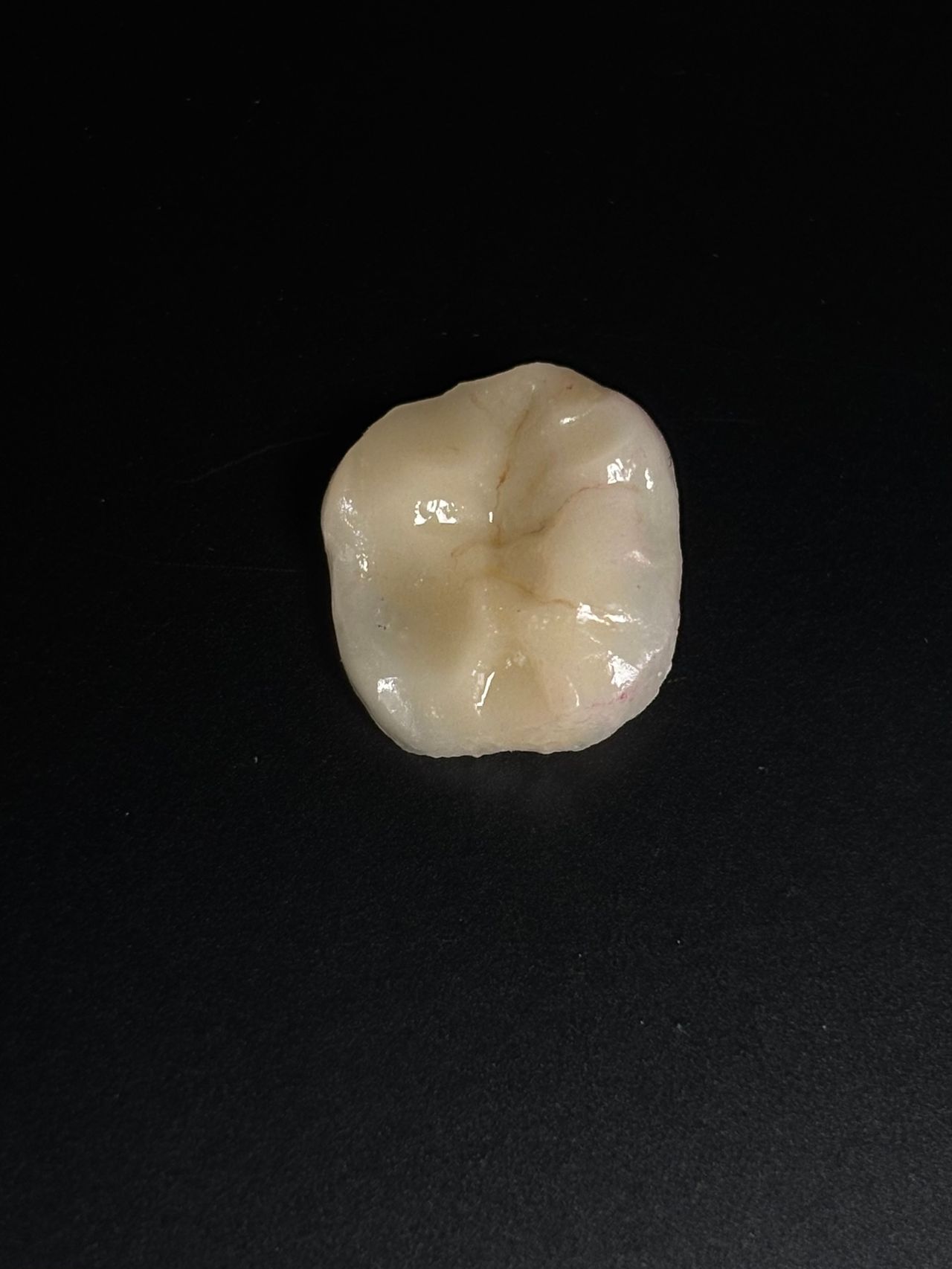 María Paula  Flores Novoa-15