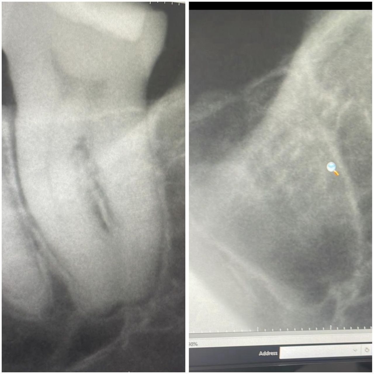 Maria Lourdes Pérez Jiménez-6