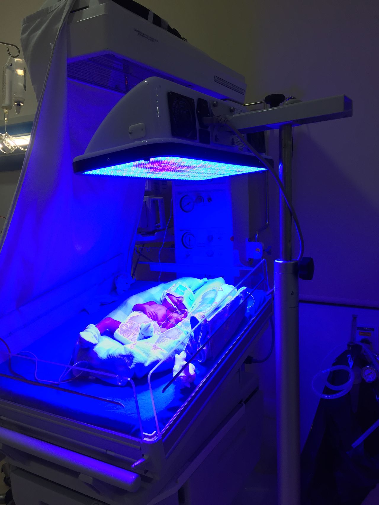 Ana Lorena Lozano López-13