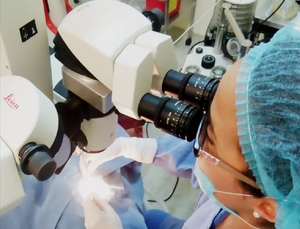 Ana Elena Gutiérrez Farach-3