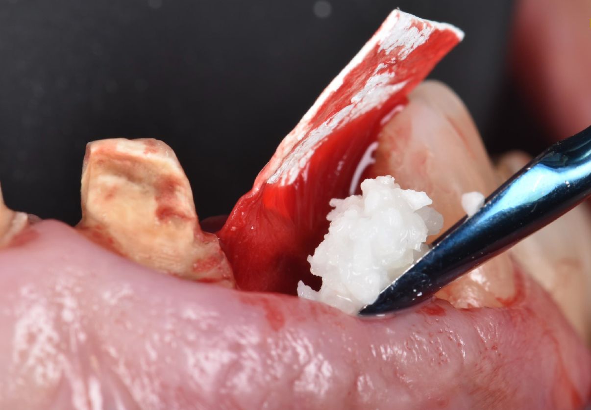 Berenice Ontiveros-6