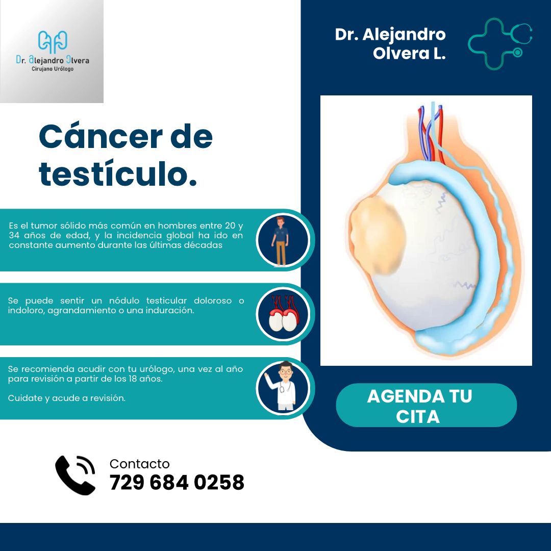 Alejandro Olvera Lozornio-11