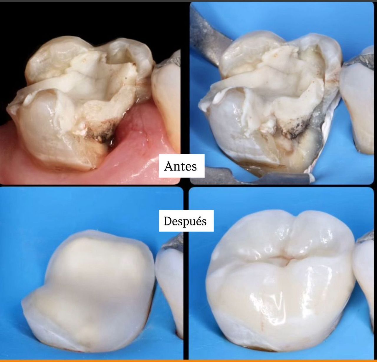 Carlos Alejandro Salazar Serrato-1