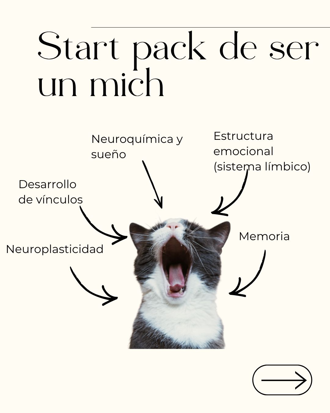 Lilia Carrillo Ugalde-3