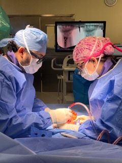 Catalina Larrazolo Ochoa-1