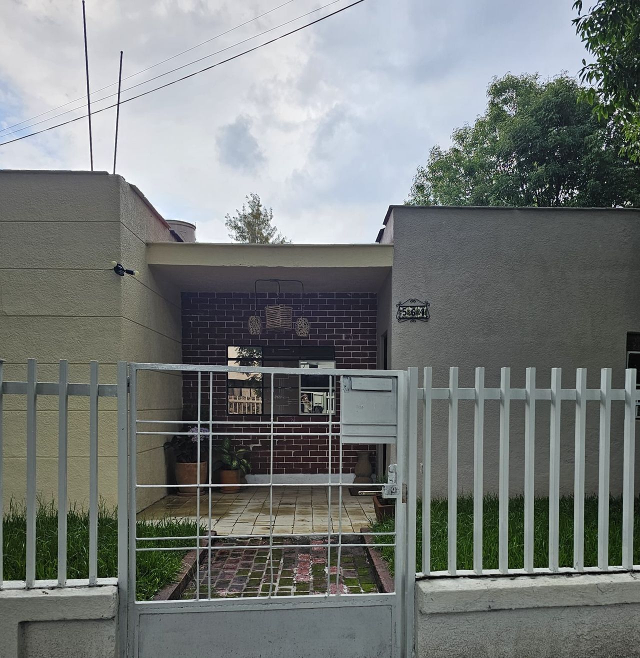 Jani Zarate Morales-0