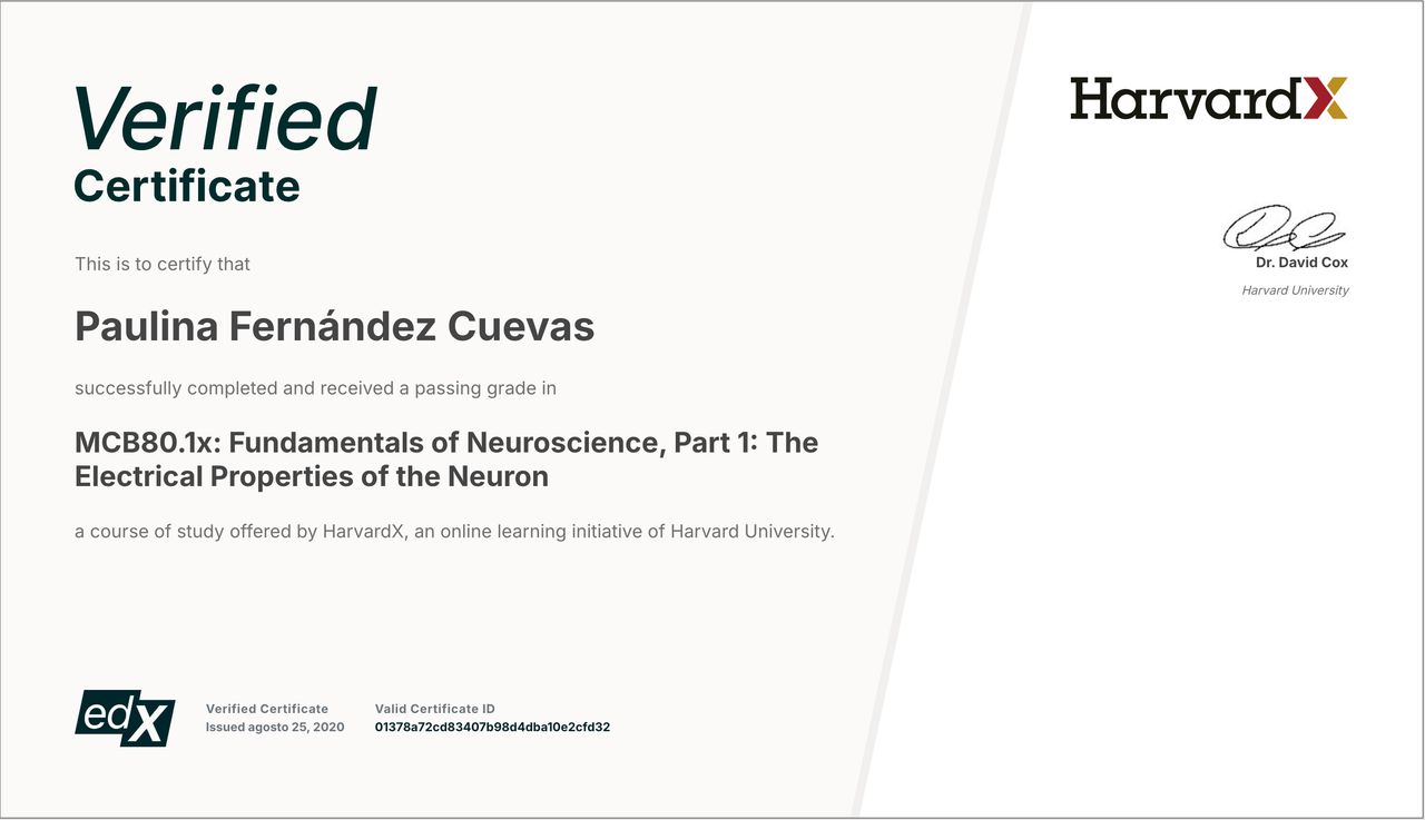 Paulina Fernández Cuevas-2