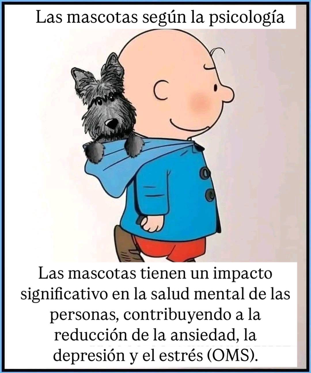 Saúl Cruz Valdivieso-18