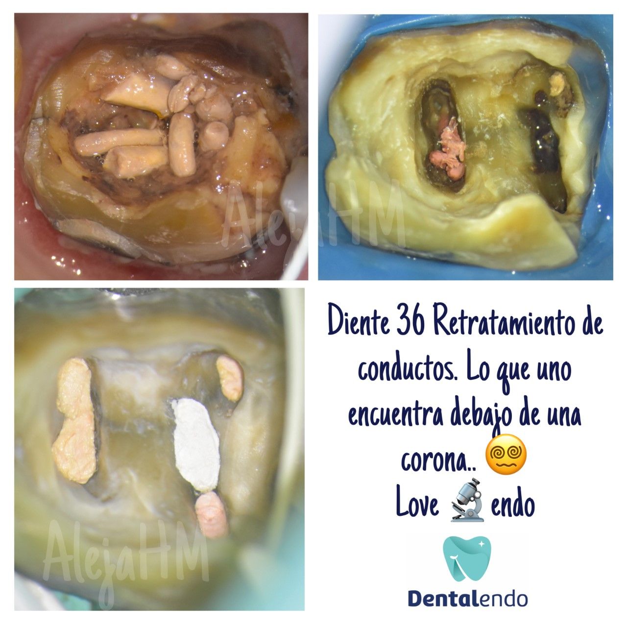 Alejandra Heredia Morán-6