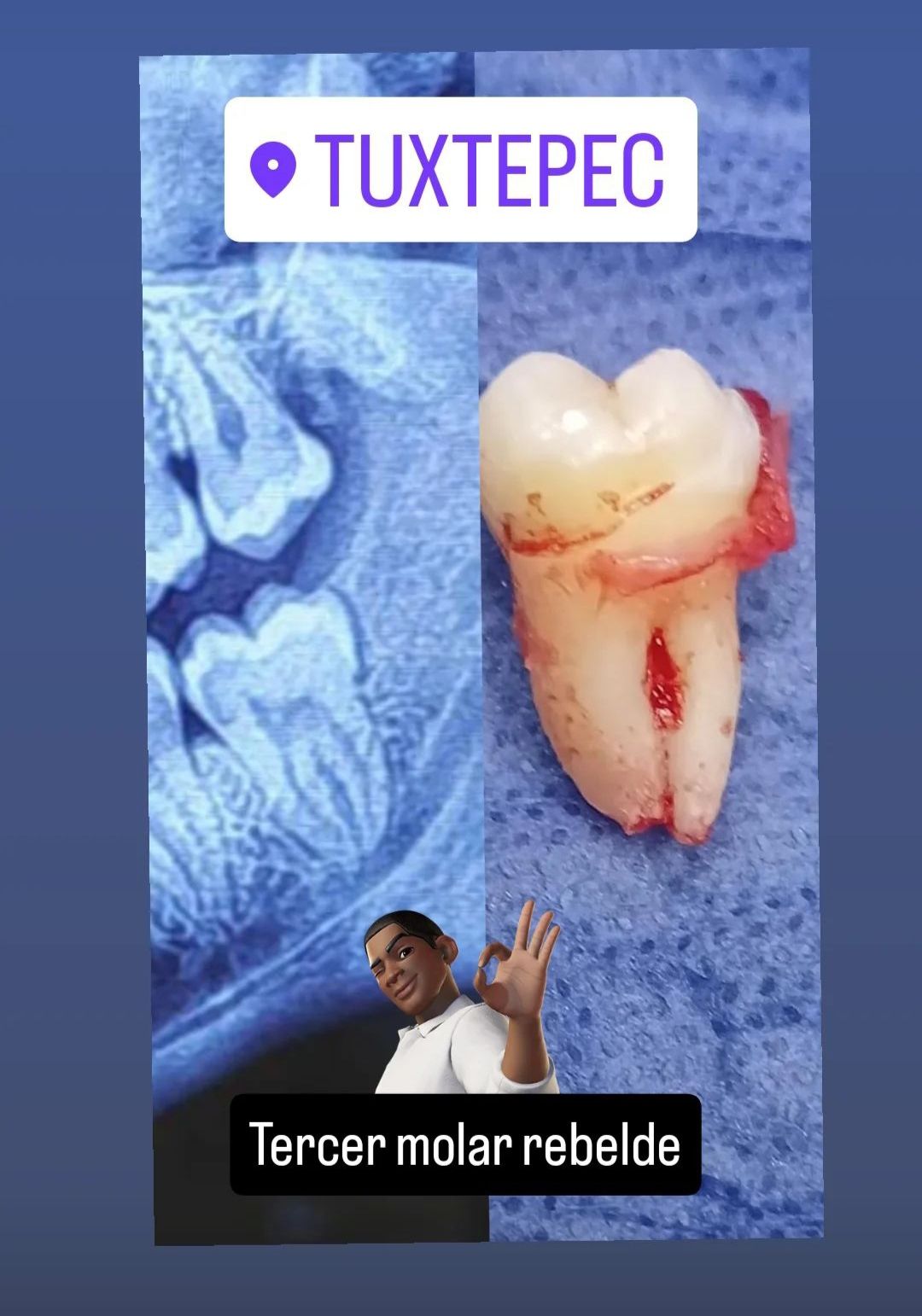 María De Jesús Albuerne Núñez-1