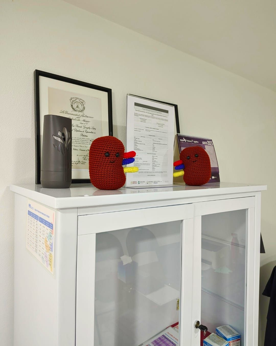 José Ricardo González López-3