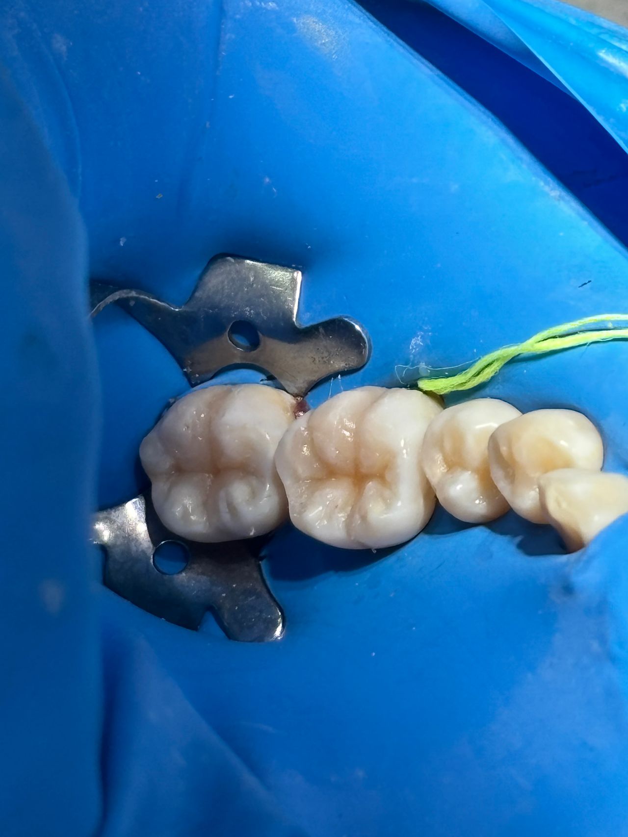 Jesús Emmanuel  Arriaga Quiroz -6