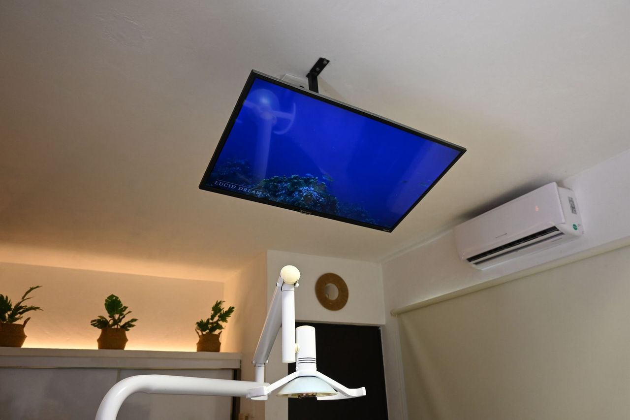 Celina Cárdenas González-2