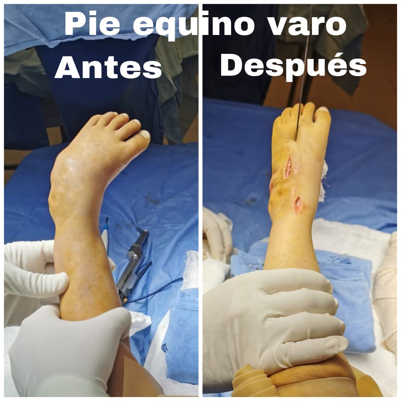 Ignacio Osvaldo Fortis Olmedo-17